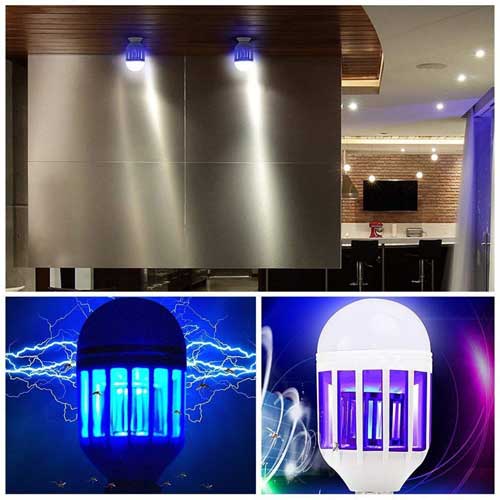 lovilec muh in komarjev past za žuželke